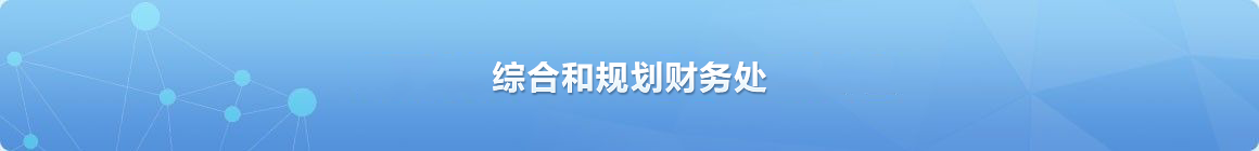 综合和规划财务处